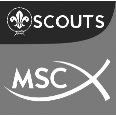 msc