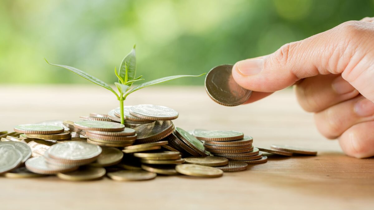 Planta germinando mientras se le aportan monedas